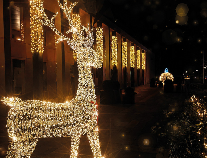Leuchtender Rentier-Lichtschmuck vor beleuchtetem Gebäude der SaarowTherme bei Nacht.