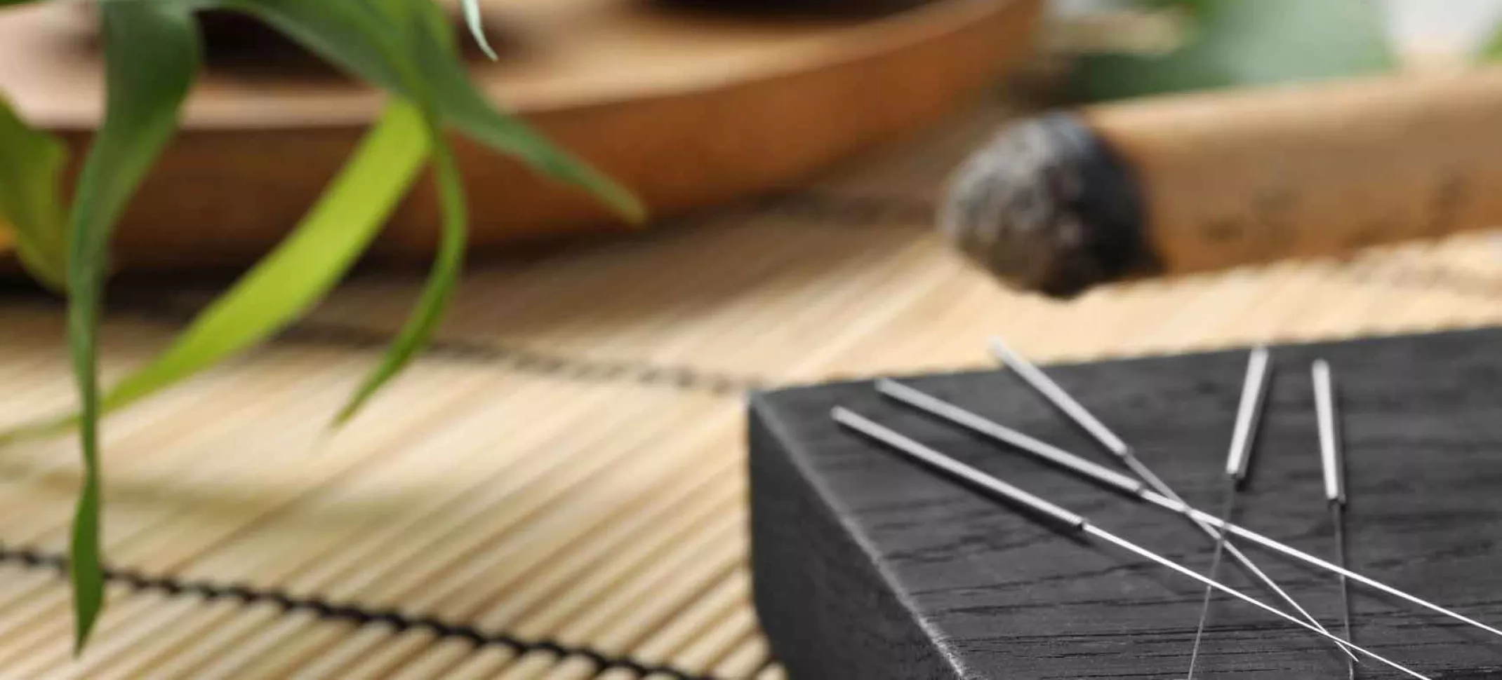 Verschwommenes, längliches Hintergrundbild indem man eine grüne Pflanze erkennt.