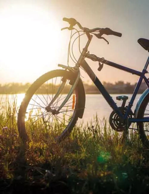 Ein dunkelblaues Fahrrad, was am Rande von einem See steht im hohen Gras steht und von dem Sonnenuntergang im Hintergrund beschien wird. 