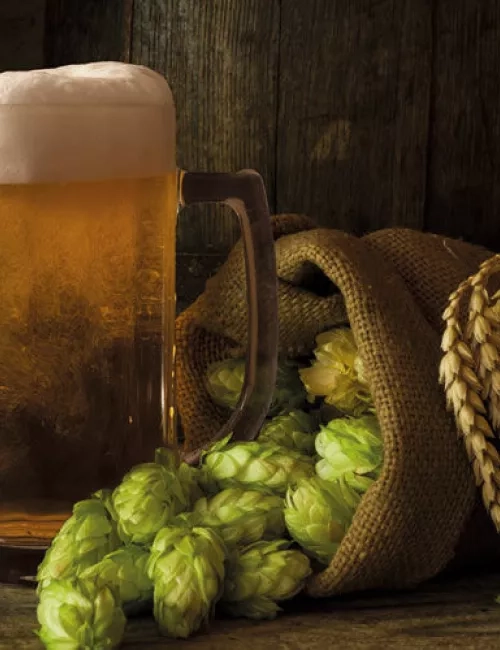 Ein frisch gezapftes Bier mit Schaumkrone steht neben einem Jutesack mit Hopfenzapfen und einer Ähre auf einem rustikalen Holztisch.