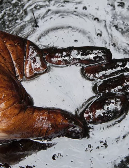 Hand ist mit dunklem Schlamm bedeckt und formt im Wasser ein Herz.