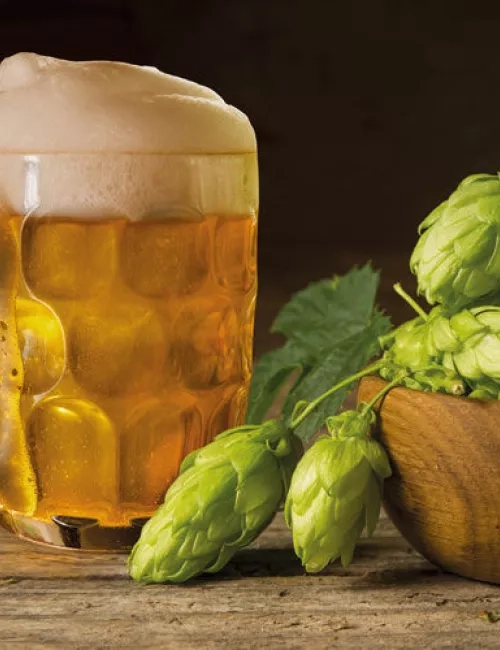 Ein frisch gezapftes Bier in einem traditionellen Glaskrug mit Schaumkrone steht auf einem Holztisch. Daneben liegt eine Holzschale mit frischem grünem Hopfen. Im Hintergrund dunkler Holzhintergrund.