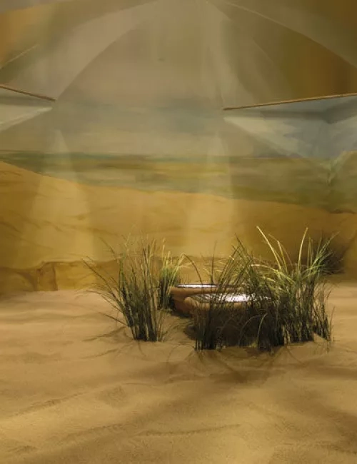 Ein Entspannungsraum mit Sandboden und dekorativem Dünengras, gestaltet wie eine Dünenlandschaft. In der Mitte steht ein rundes Holzpodest, umgeben von warmem Licht. Die Wände zeigen ein Panorama mit Strandmotiv.