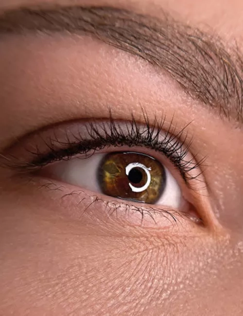 Nahaufnahme eines braunen Auges mit detaillierter Darstellung der Iris, Wimpern und Augenbraue. In der Pupille spiegelt sich ein ringförmiges Licht.