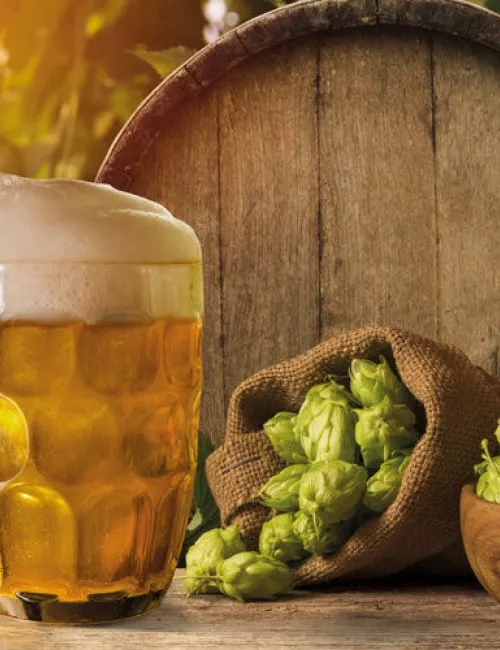 Ein Glas Bier mit Schaumkrone steht auf einem Holztisch neben einem Jutesack mit Hopfendolden und einem Holzfass im Hintergrund.