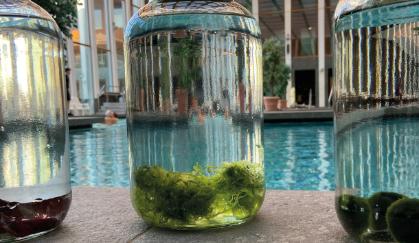 Mehrere Glasgefäße mit Wasserproben und Algen stehen am Rand eines Thermalbeckens.