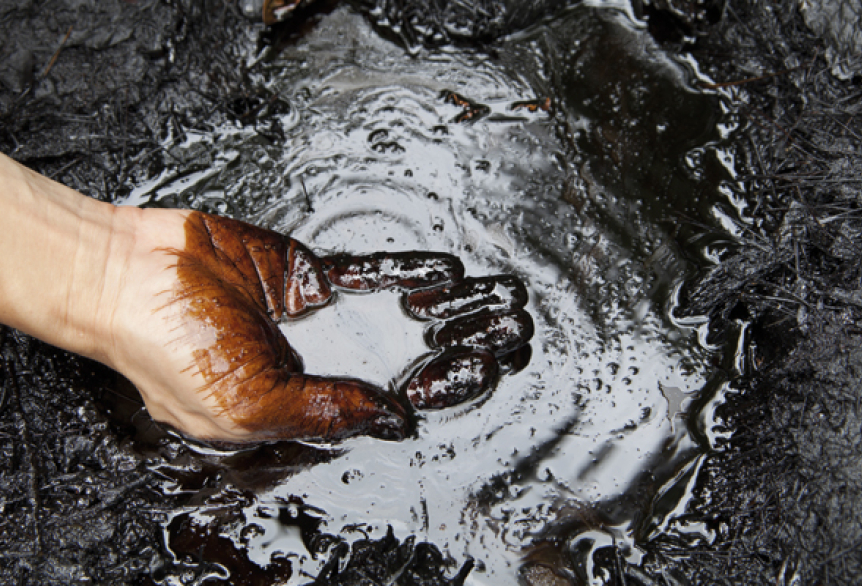 Eine Hand greift in das dunkle Moor.