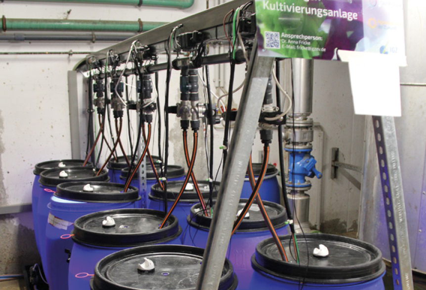 Technische Anlage mit Fässern und Schläuchen.